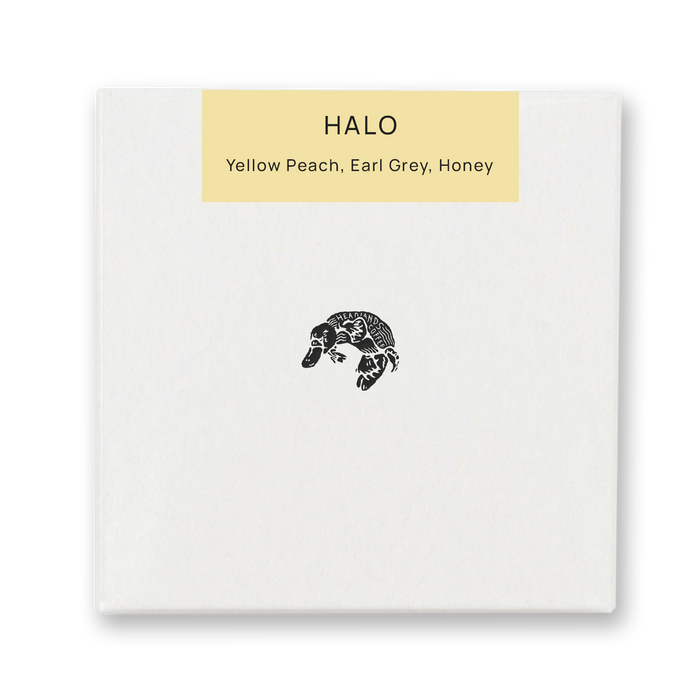 Ethiopia Halo Heirloom Washed
