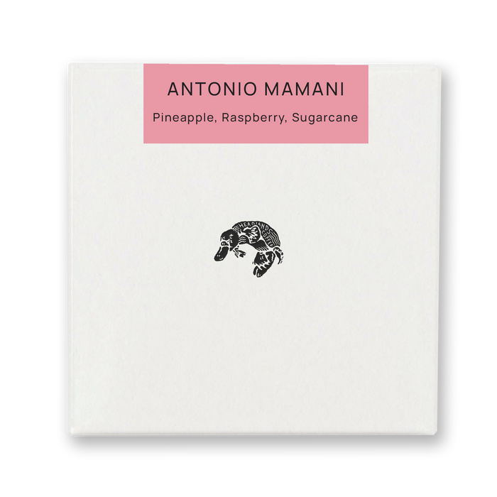 Bolivia Antonio Mamani Pacamara Natural