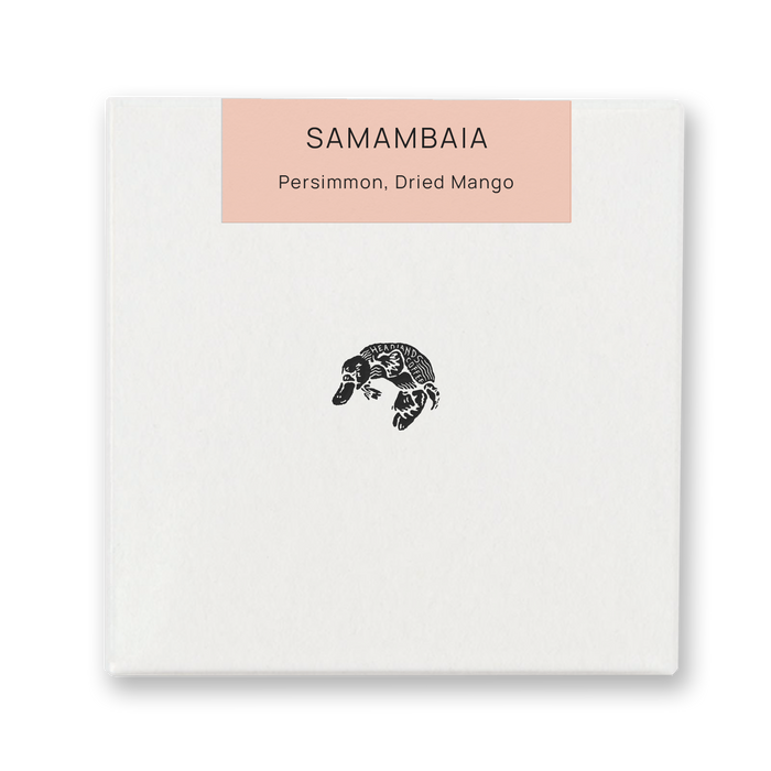 Brazil Fazenda Samambaia Yellow Catuai Anaerobic Natural