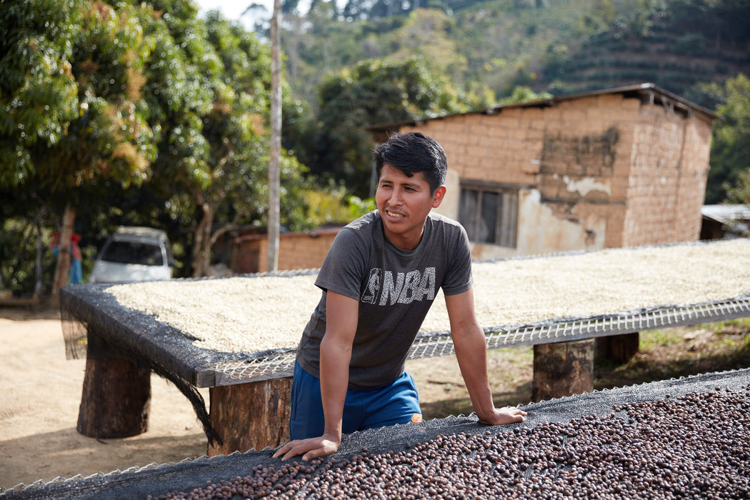 Bolivia Antonio Mamani Pacamara Natural