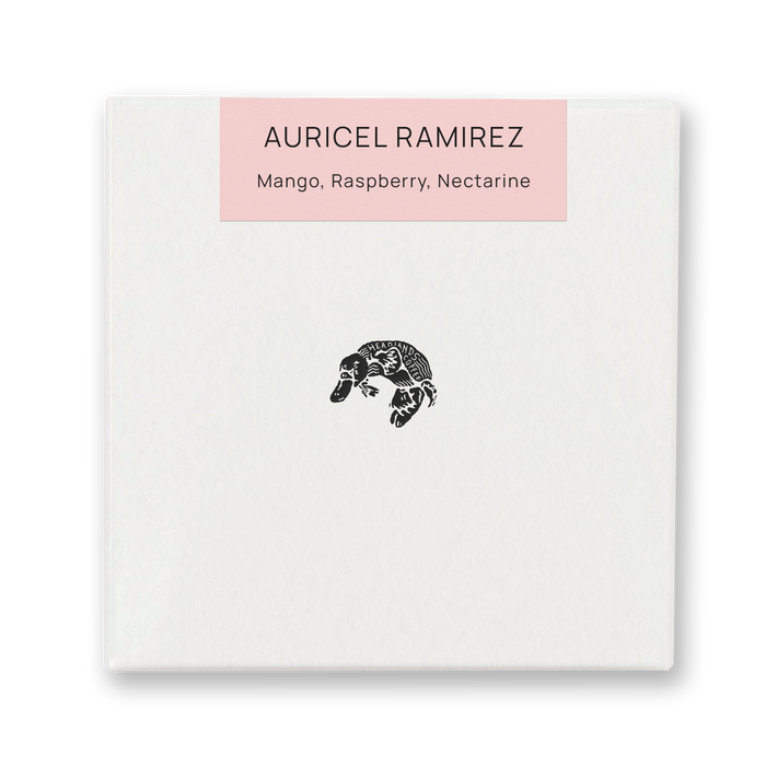 Colombia Auricel Ramirez Caturra CM Washed