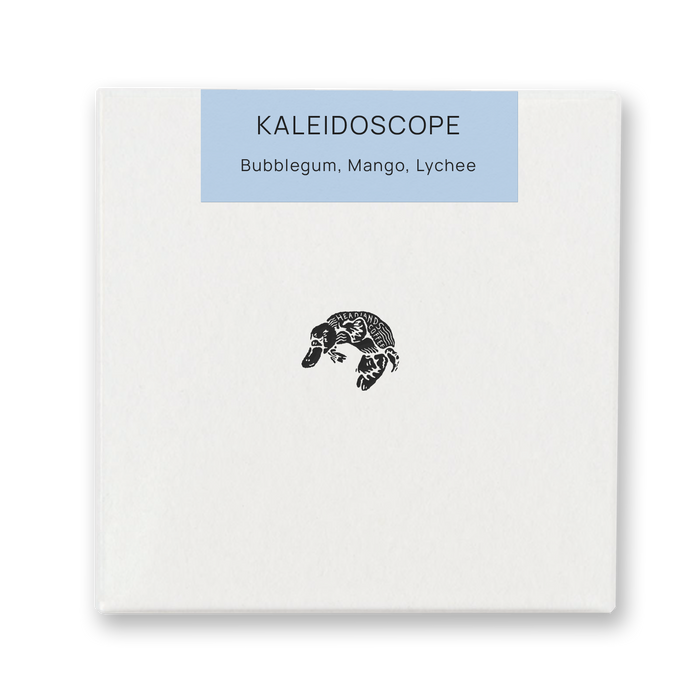 Colombia Kaleidoscope Washed