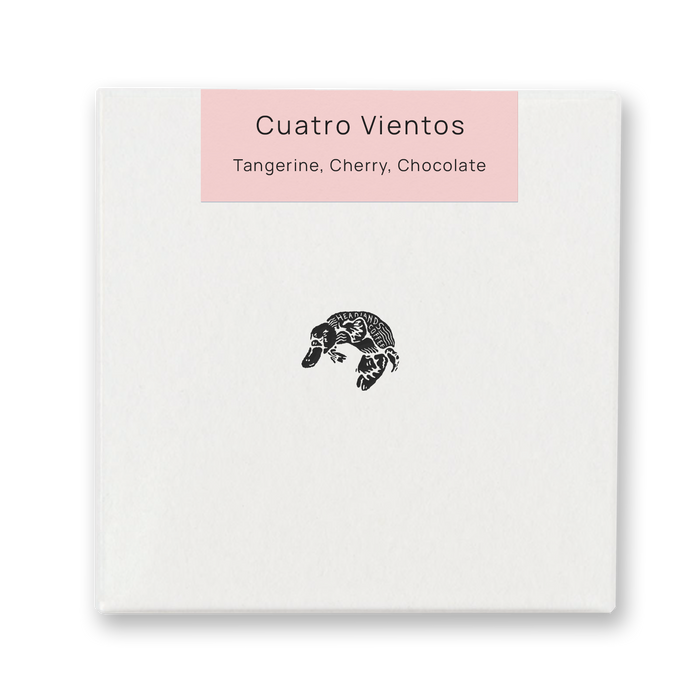 Costa Rica Cuatro Vientos Mokka Natural