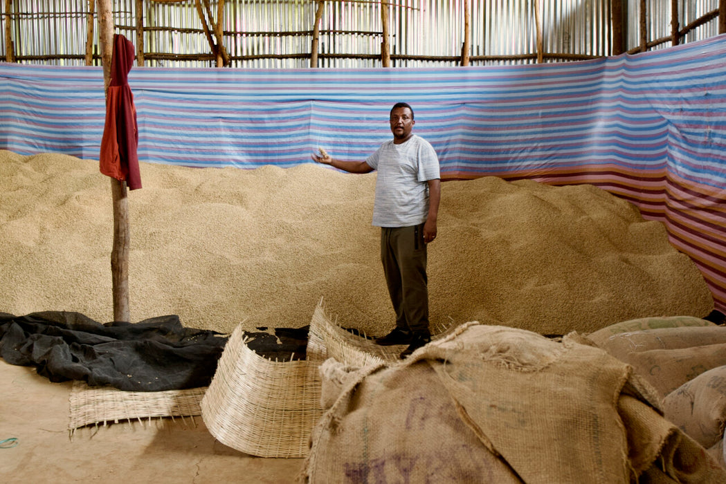 Ethiopia Ela Tenacha Heirloom Washed