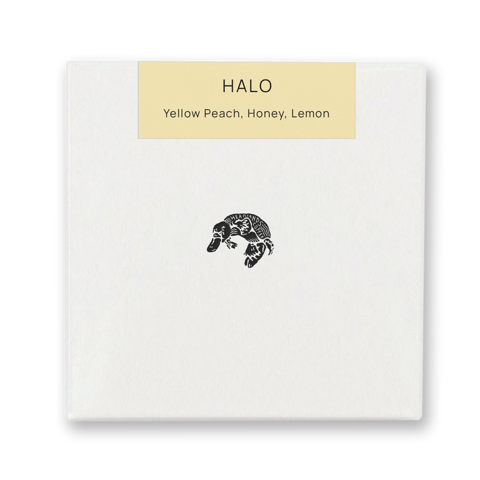 Ethiopia Halo Heirloom Washed
