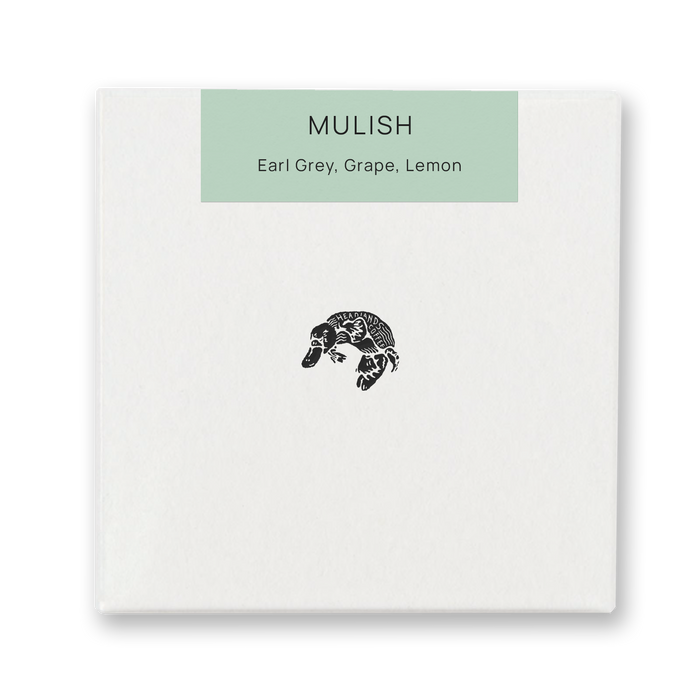 Ethiopia Mulish Washed