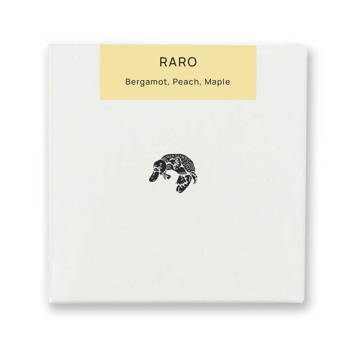 Ethiopia Raro Wolisho & Dega Washed