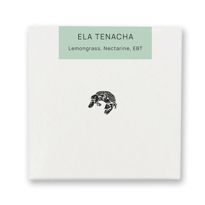 Ethiopia Ela Tenacha Heirloom Washed