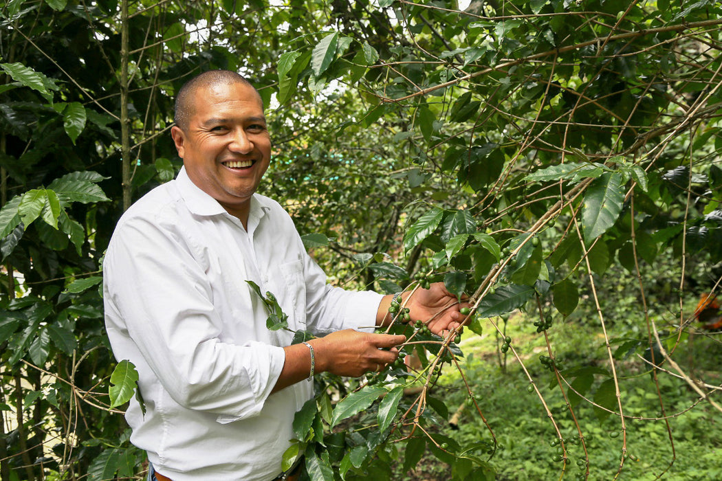 Colombia La Laja Sudan Rume Washed