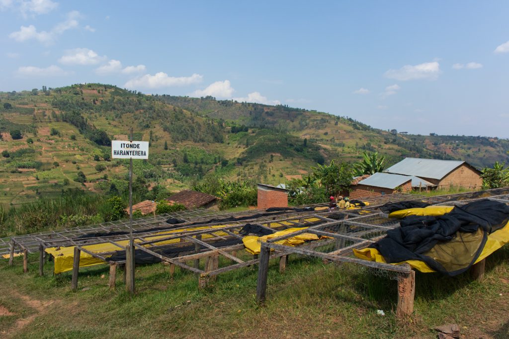 Rwanda Nkara PB