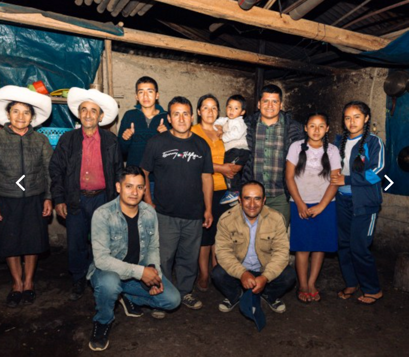 Peru Felipe Estela Cattura Bourbon Washed