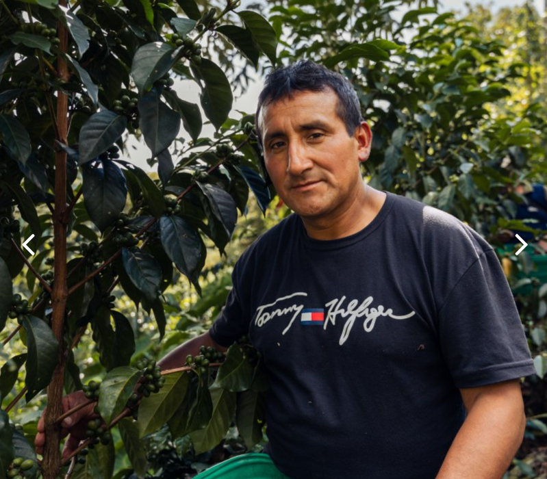 Peru Felipe Estela Cattura Bourbon Washed