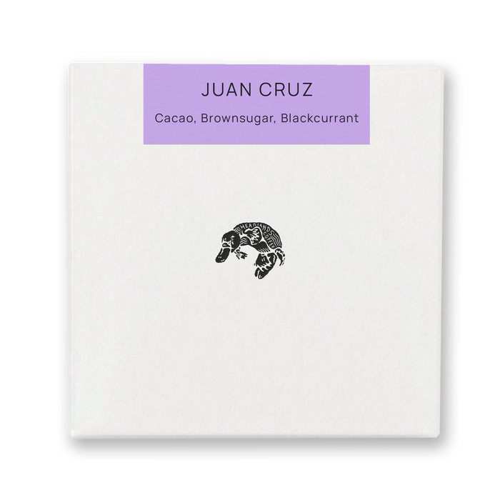 Peru Juan Cruz Typica Washed