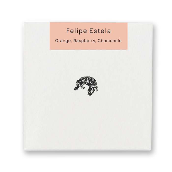Peru Felipe Estela Cattura Bourbon Washed