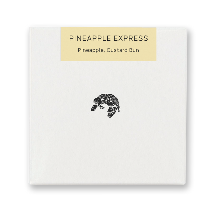 Colombia Pineapple Express Castillo Washed