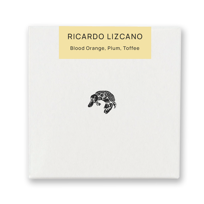 Colombia Ricardo Lizcano Caturra Washed