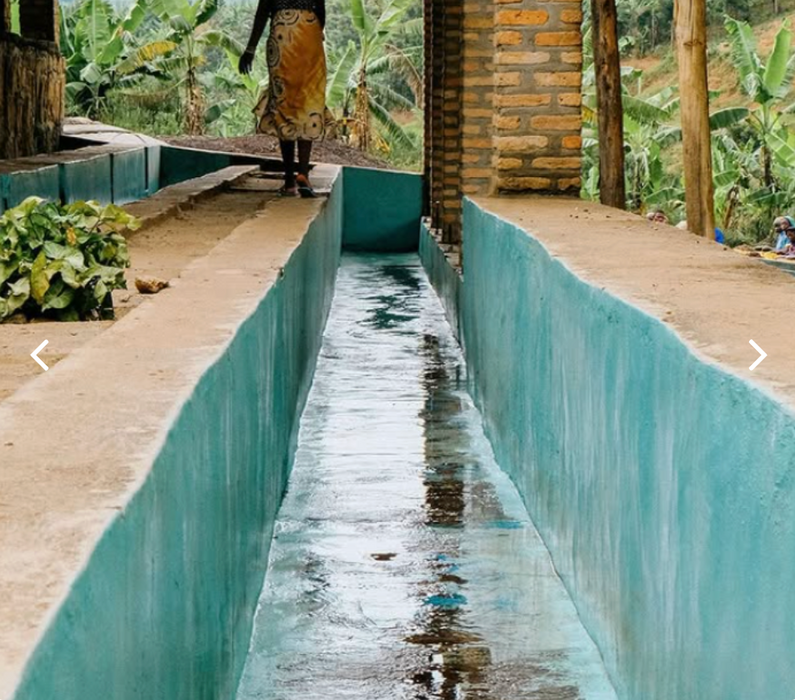 Rwanda Kanya Red Bourbon Washed