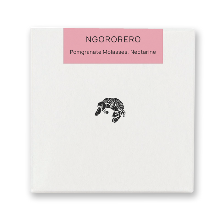 Rwanda Ngororero Red Bourbon Natural