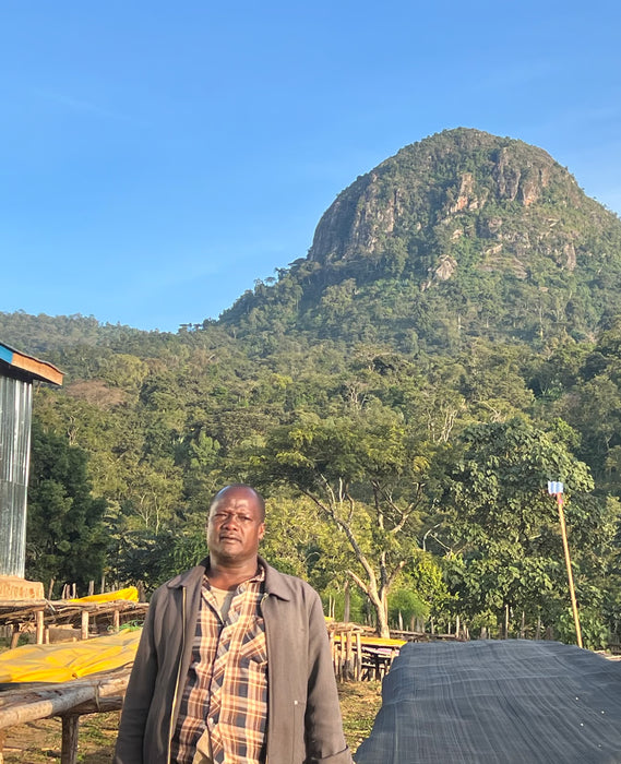 Ethiopia Abebe Cherfo Kurume Washed